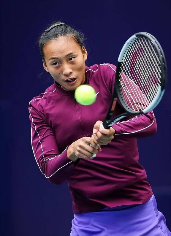 并取得佳绩 并取得佳绩