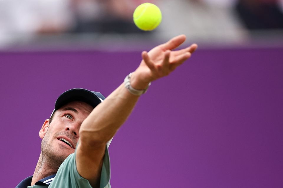 场被布莱顿 场被布莱顿